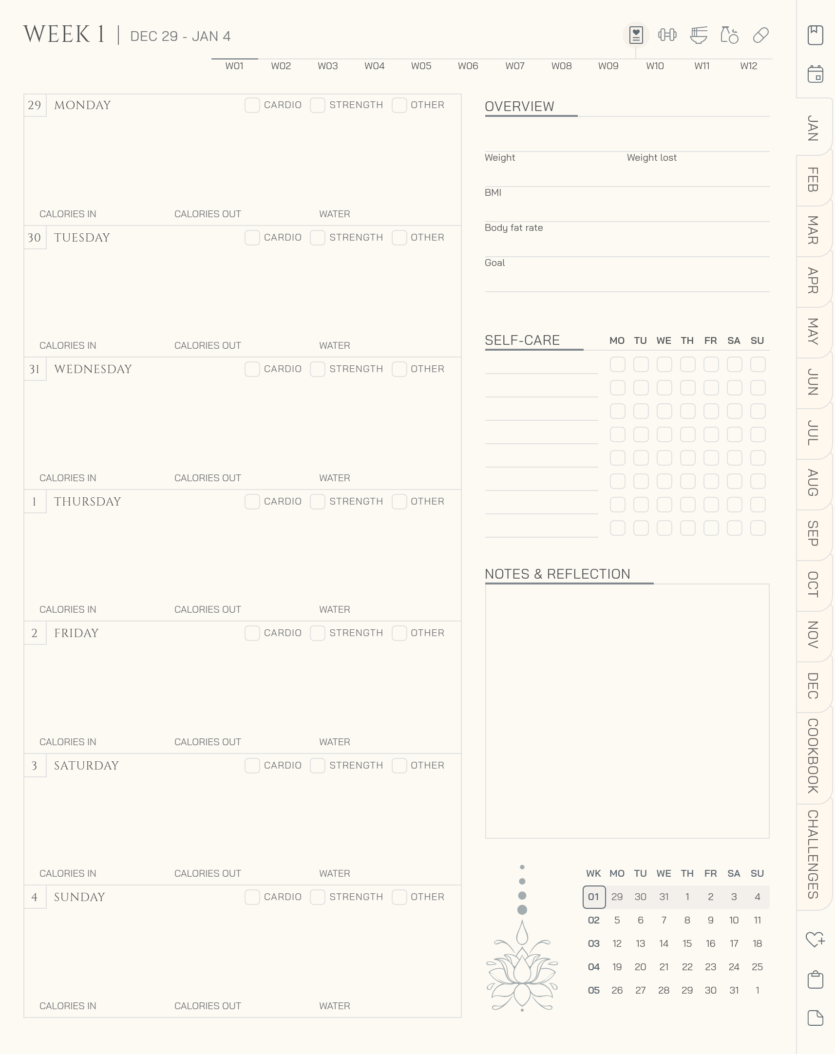 Slide 11 of 29 for light color