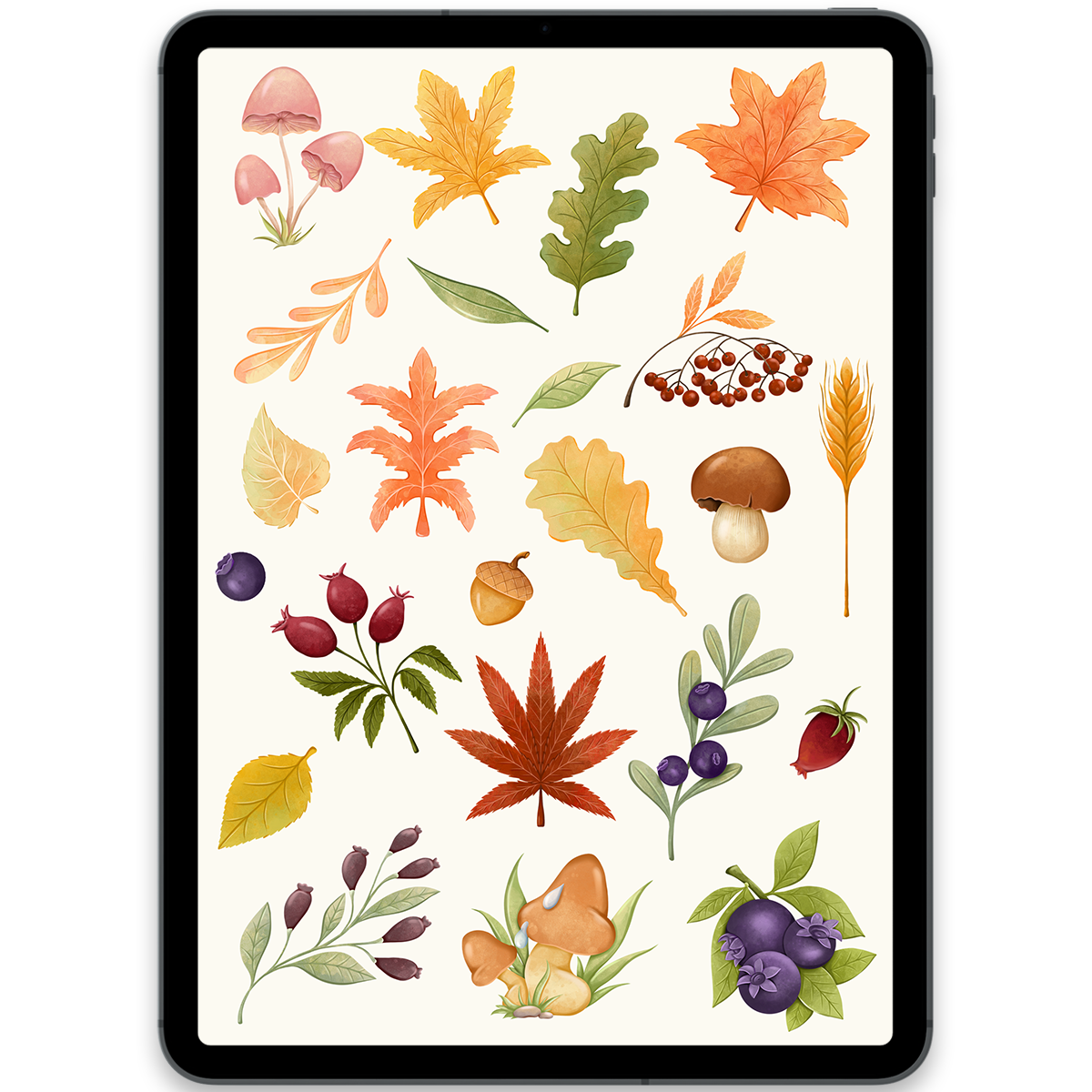 Autumn Leaves Stickers