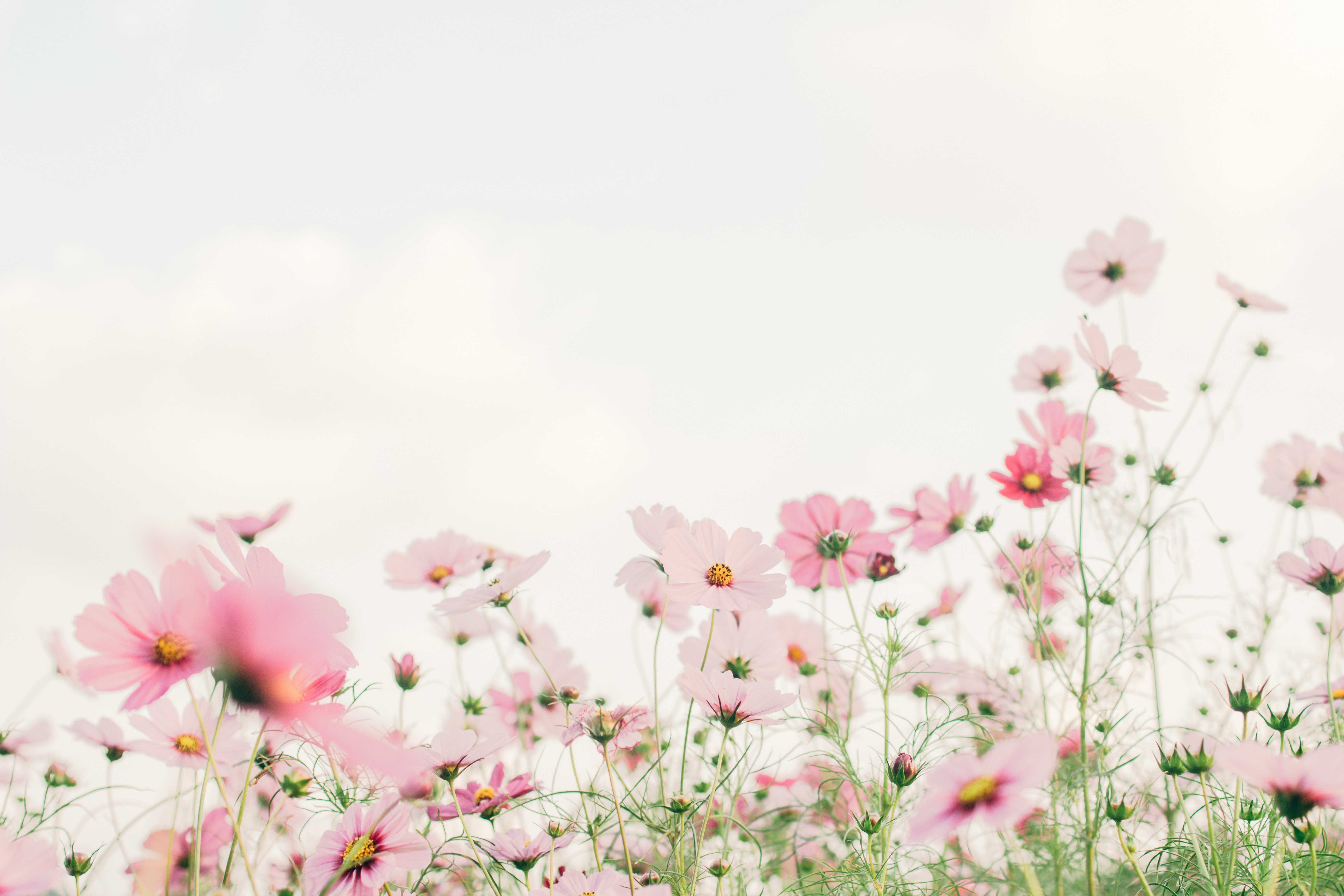 Wellness Journal for Moms